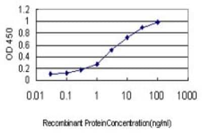 Sandwich ELISA: S100A10 Antibody (4D2-F1) [H00006281-M01] - Detection limit for recombinant GST tagged S100A10 is approximately 0.1ng/ml as a capture antibody.