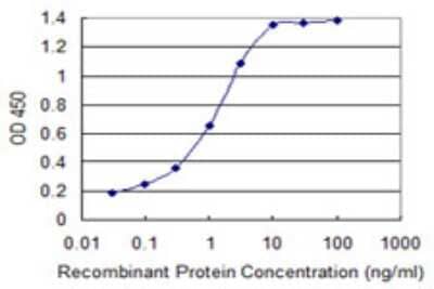 Sandwich ELISA: S100A11 Antibody (1B12) [H00006282-M17] - Detection limit for recombinant GST tagged S100A11 is 0.03 ng/ml as a capture antibody.