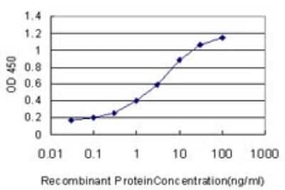 Sandwich ELISA: S100A13 Antibody (3A7) [H00006284-M01] - Detection limit for recombinant GST tagged S100A13 is approximately 0.1ng/ml as a capture antibody.