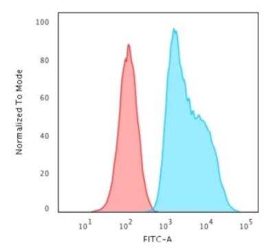 Flow Cytometry: S100A2 Antibody (CPTC-S100A2-2) - Azide and BSA Free [NBP2-79899] - Flow Cytometric Analysis of trypsinised HeLa cells. S100A2 Mouse Monoclonal Antibody (CPTC-S100A2-2) followed by Goat anti-Mouse IgG-CF488 (Blue); Isotype Control (Red).