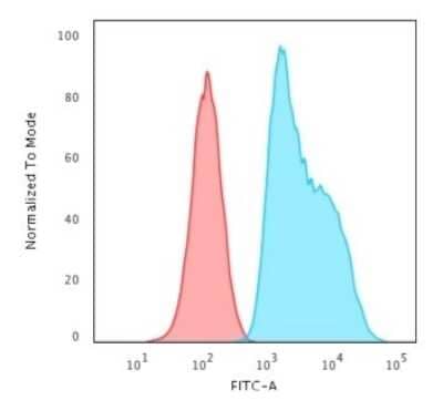 Flow Cytometry: S100A2 Antibody (CPTC-S100A2-2) [NBP2-79764] - Flow Cytometric Analysis of trypsinised HeLa cells. S100A2 Antibody (CPTC-S100A2-2) followed by Goat anti-Mouse IgG-CF488 (Blue); Isotype Control (Red).