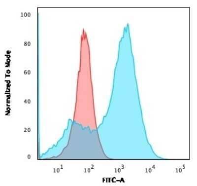 Flow Cytometry: S100A4 Antibody (S100A4/1481) - Azide and BSA Free [NBP2-54580] - Flow Cytometric Analysis of A549 cells using S100A4 Antibody (S100A4/1481) followed by goat anti-Mouse IgG-CF488 (Blue); Isotype Control (Red).