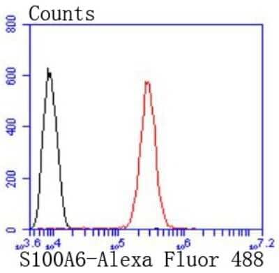 Flow Cytometry: S100A6 Antibody (JF0976) [NBP2-67123] - Analysis of SH-SY-5Y cells with S100 alpha 6 antibody at 1/50 dilution (red) compared with an unlabelled control (cells without incubation with primary antibody; black). Alexa Fluor 488-conjugated goat anti rabbit IgG was used as the secondary antibody