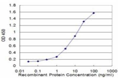 ELISA: S100A8 Antibody (1B3) [H00006279-M02] - Detection limit for recombinant GST tagged S100A8 is approximately 0.3ng/ml as a capture antibody.