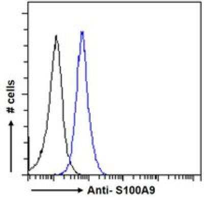 Flow Cytometry: S100A9 Antibody [NBP1-18843] - Flow cytometric analysis of paraformaldehyde fixed MCF7 cells (blue line), permeabilized with 0.5% Triton. Primary incubation 1hr (10 ug/mL) followed by Alexa Fluor 488 secondary antibody (1 ug/mL). IgG control: Unimmunized goat IgG (black line) followed by Alexa Fluor 488 secondary antibody.
