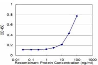 Sandwich ELISA: S100P Antibody (4E7) [H00006286-M02] - Detection limit for recombinant GST tagged S100P is approximately 3ng/ml as a capture antibody.