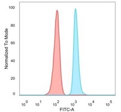 Flow Cytometry: SAMD4B Antibody (PCRP-SAMD4B-1H3) [NBP3-13749] - Flow cytometric analysis of PFA-fixed HeLa cells. SAMD4B antibody (PCRP-SAMD4B-1H3) followed by goat anti-mouse IgG-CF488 (blue); isotype control (red).
