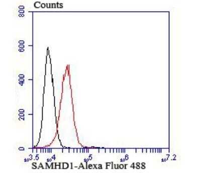 Flow Cytometry: SAMHD1 Antibody (JU56-04) [NBP2-75655] - Analysis of K562 cells with SAMHD1 antibody at 1/100 dilution (red) compared with an unlabelled control (cells without incubation with primary antibody; black).