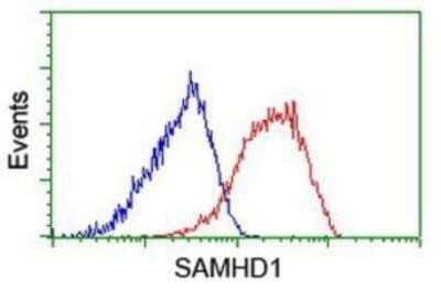 Flow Cytometry: SAMHD1 Antibody (OTI3F5) - Azide and BSA Free [NBP2-73979] - Analysis of Hela cells, using anti-SAMHD1 antibody, (Red), compared to a nonspecific negative control antibody (Blue).