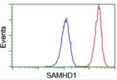 Flow Cytometry: SAMHD1 Antibody (OTI3F5) - Azide and BSA Free [NBP2-73979] - Analysis of Jurkat cells, using anti-SAMHD1 antibody,(Red), compared to a nonspecific negative control antibody,(Blue).