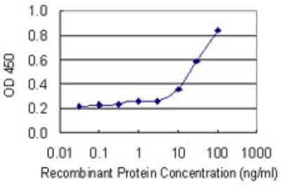 Sandwich ELISA: SAMSN1 Antibody (1B8) [H00064092-M01] - Detection limit for recombinant GST tagged SAMSN1 is 3 ng/ml as a capture antibody.