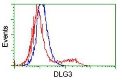 Flow Cytometry: SAP102 Antibody (3F2) [NBP2-03428] - HEK293T cells transfected with either overexpression plasmid (Red) or empty vector control plasmid (Blue) were immunostained by anti-SAP102 antibody, and then analyzed by flow cytometry.