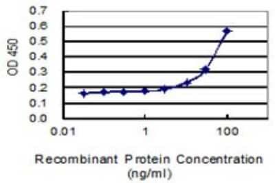 Sandwich ELISA: SAR1 Antibody (3G5) [H00056681-M01] - Detection limit for recombinant GST tagged SAR1A is 3 ng/ml as a capture antibody.