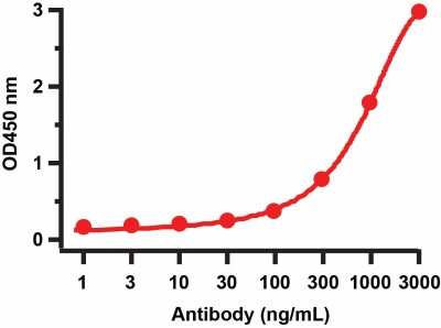 ELISA: SARS-CoV-2 3CL Protease Antibody [NBP3-07061] - ELISA Validation with SARS-CoV-2 3CL Protease Protein . Antibodies: SARS-CoV-2 3CL Protease Antibody, NBP3-07061. A direct ELISA was performed using SARS-CoV-2 3CL-PRO (NSP5) recombinant protein as coating antigen and the anti-SARS-CoV-2 3CL Protease antibody as the capture antibody. Secondary: Goat anti-rabbit IgG HRP conjugate at 1:20000 dilution. Detection range is from 1 ng/mL to 3000 ng/mL