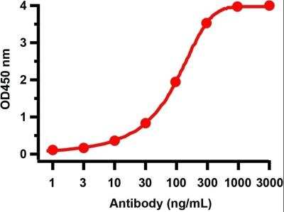 ELISA: SARS-CoV-2 NSP10 Antibody [NBP3-07057] - Antibodies: SARS-CoV-2 (COVID-19) NSP10 Antibody. A direct ELISA was performed using SARS-CoV-2 NSP10 recombinant protein as coating antigen and the anti-SARS-CoV-2 (COVID-19) NSP10 antibody as the capture antibody. Secondary: Goat anti-rabbit IgG HRP conjugate at 1:20000 dilution. Detection range is from 1 ng/mL to 3000 ng/mL.