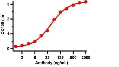 ELISA: SARS-CoV-2 Nucleocapsid Antibody (3851) [NBP3-05706] - Antibodies: SARS-CoV-2 Nucleocapsid antibody,NBP3-05706 . An ELISA was performed using human SARS-CoV-2 Nucleocapsid recombinant protein as coating antigen and the SARS-CoV-2 Nucleocapsid antibody, as the capture antibody. Secondary: Goat antimouse IgG HRP conjugate at 1:20000 dilution. Detection range is from 1 ng/mL to 2000 ng/mL.