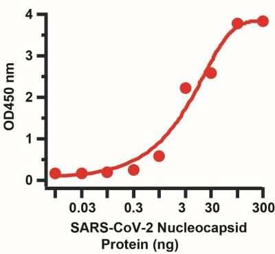 Sandwich ELISA: SARS-CoV-2 Nucleocapsid Antibody (3865) [NBP3-07068] - Sandwich ELISA for SARS-CoV-2 Nucleocapsid Matched Pair Antibodies. A sandwich ELISA was performed using SARS-CoV-2 Nucleocapsid antibody (NBP3-07039, 2ug/ml) as capture antibody, a nucleocapsid recombinant protein as the binding protein, and the anti-SARS-CoV-2 Nucleocapsid antibody (NBP3-07068, 0.5ug/ml) as the detection antibody.  Secondary: Goat anti-mouse IgG HRP conjugate at 1:20000 dilution. Detection range is from 0.03 ng to 300 ng. EC50 = 15.82 ng