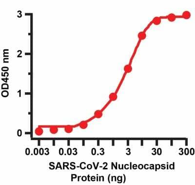 Sandwich ELISA: SARS-CoV-2 Nucleocapsid Antibody (3865) [NBP3-07068] - Sandwich ELISA for SARS-CoV-2 Nucleocapsid Matched Pair Antibodies. A sandwich ELISA was performed using SARS-CoV-2 Nucleocapsid antibody (NBP3-07072, 5ug/ml) as capture antibody, a nucleocapsid recombinant protein as the binding protein, and the anti-SARS-CoV-2 Nucleocapsid antibody (NBP3-07068, 1ug/ml) as the detection antibody.  Secondary: Goat anti-mouse IgG HRP conjugate at 1:20000 dilution. Detection range is from 0.03 ng to 300 ng. EC50 = 2.5 ng