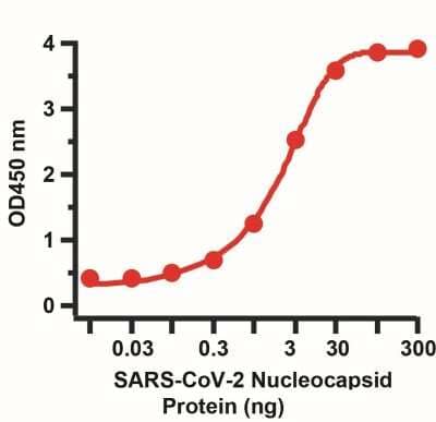 Sandwich ELISA: SARS-CoV-2 Nucleocapsid Antibody (3866) [NBP3-07069] - Sandwich ELISA for SARS-CoV-2 Nucleocapsid Matched Pair Antibodies. A sandwich ELISA was performed using SARS-CoV-2 Nucleocapsid antibody (NBP3-07069, 2ug/ml) as capture antibody, a nucleocapsid recombinant protein as the binding protein, and the anti-SARS-CoV-2 Nucleocapsid antibody (NBP3-07071, 0.1ug/ml) as the detection antibody.  Secondary: Goat anti-rabbit IgG HRP conjugate at 1:20000 dilution. Detection range is from 0.03 ng to 300 ng. EC50 = 6.9 ng