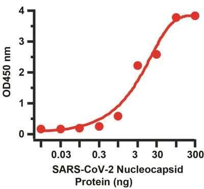 Sandwich ELISA: SARS-CoV-2 Nucleocapsid Antibody (3868) [NBP3-07070] - Sandwich ELISA for SARS-CoV-2 Nucleocapsid Antibodies. A sandwich ELISA was performed using SARS-CoV-2 Nucleocapsid antibody (NBP3-07039, 2ug/ml) as capture antibody, the Nucleocapsid recombinant protein as the binding protein, and the anti-SARS-CoV-2 Nucleocapsid antibody (NBP3-07068, 0.5ug/ml) as the detection antibody.  Secondary: Goat anti-mouse IgG HRP conjugate at 1:20000 dilution. Detection range is from 0.03 ng to 300 ng. EC50 = 15.82 ng