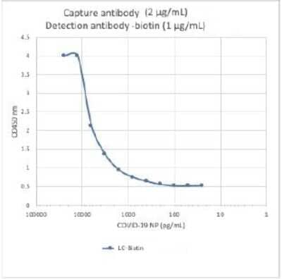 Sandwich ELISA: SARS-CoV-2 Nucleocapsid Antibody (84C4a) [NBP3-07041] - A sandwich ELISA was performed using SARS-CoV-2 Nucleocapsid specific rabbit monoclonal antibodies: capture antibody and biotin-conjugated a detection antibody. SARS-CoV-2 Nucleocapsid was serially diluted 1:2 starting at 25 ng/ml. The capture antibody and biotin-conjugated a detection antibodies detected SARS-CoV-2 Nucleocapsid antigen at very high sensitivity as low as 100 pg/ml (100 pg).