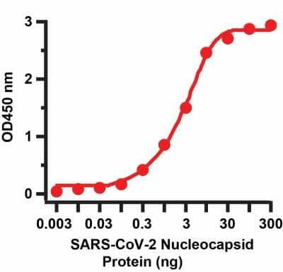 Sandwich ELISA: SARS-CoV-2 Nucleocapsid Antibody (NP642) [NBP3-07072] - Sandwich ELISA for SARS-CoV-2 Nucleocapsid Matched Pair Antibodies. A sandwich ELISA was performed using SARS-CoV-2 Nucleocapsid antibody (NBP3-07072, 5ug/ml) as capture antibody, a Nucleocapsid recombinant protein as the binding protein, and the anti-SARS-CoV-2 Nucleocapsid antibody (NBP3-07070, 1ug/ml) as the detection antibody.  Secondary: Goat anti-mouse IgG HRP conjugate at 1:20000 dilution. Detection range is from 0.03 ng to 300 ng. EC50 = 2.7 ng