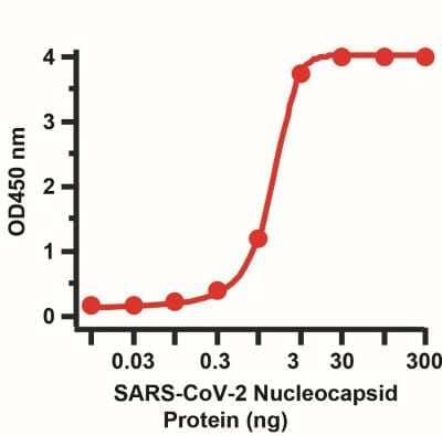 Sandwich ELISA: SARS-CoV-2 Nucleocapsid Antibody [NBP3-07038] - Sandwich ELISA for SARS-CoV-2 Nucleocapsid Matched Pair Antibodies. A sandwich ELISA was performed using SARS-CoV-2 Nucleocapsid antibody (NBP3-07038, 2 ug/mL) as capture antibody, a nucleocapsid recombinant protein as the binding protein, and the anti-SARS-CoV-2 Nucleocapsid antibody (NBP3-07070, 0.5 ug/mL) as the detection antibody.  Secondary: Goat anti-mouse IgG HRP conjugate at 1:20000 dilution. Detection range is from 0.03 ng to 300 ng. EC50 = 4.27 ng