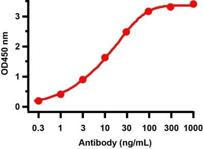 ELISA SARS-CoV-2 ORF10 Antibody - BSA Free