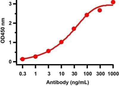 ELISA: SARS-CoV-2 ORF3a Antibody [NBP3-11933] - ELISA Validation Antibodies: SARS-CoV-2 ORF3a Antibody, NBP3-11933. A direct ELISA was performed using SARS-CoV-2 ORF3a immunogen peptide as coating antigen and the anti-SARS-CoV-2 ORF3a antibody as the capture antibody. Secondary: Goat anti-rabbit IgG HRP conjugate at 1:20000 dilution. Detection range is from 0.3 ng/mL to 1000 ng/mL