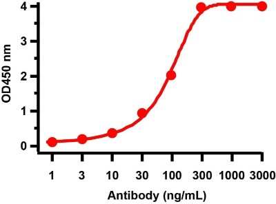 ELISA SARS-CoV-2 ORF3b Antibody - BSA Free