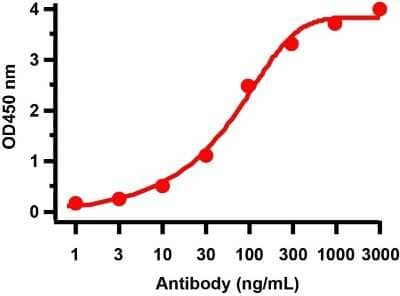 ELISA: SARS-CoV-2 ORF8 Antibody [NBP3-11934] - ELISA Validation with SARS-CoV-2 (COVID-19) ORF8 Protein Antibodies: SARS-CoV-2 ORF8 Antibody, NBP3-11934. A direct ELISA was performed using SARS-CoV-2 ORF8 recombinant protein as coating antigen and the anti-SARS-CoV-2 ORF8 antibody as the capture antibody. Secondary: Goat anti-rabbit IgG HRP conjugate at 1:20000 dilution. Detection range is from 1 ng/mL to 3000 ng/mL