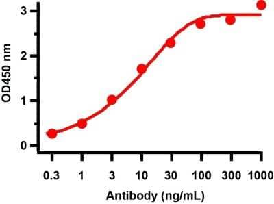 ELISA: SARS-CoV-2 ORF8 Antibody [NBP3-11935] - ELISA Validation Antibodies: SARS-CoV-2 ORF8 Antibody, NBP3-11935. A direct ELISA was performed using SARS-CoV-2 ORF8 immunogen peptide as coating antigen and the anti-SARS-CoV-2 ORF8 antibody as the capture antibody. Secondary: Goat anti-rabbit IgG HRP conjugate at 1:20000 dilution. Detection range is from 0.3 ng/mL to 1000 ng/mL