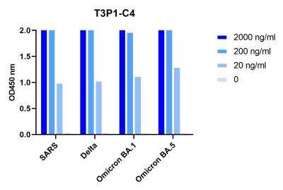 ELISA: SARS-CoV-2 Spike Antibody (T3P1C4) - VHH - Azide and BSA Free [NBP3-18528] - ELISA Validation with Trimers of SARS1 and SARS-CoV-2 Variants. Antibodies: SARS-CoV-2 Spike Antibody, NBP3-18528. A direct ELISA was performed using spike trimer proteins of both SARS1 and SARS-CoV-2 Variants (Delta, Omicron BA.1 and BA.5) as coating antigens at 1 ug/mL and NBP3-18528 antibody at 20-2000 ng/mL, followed by anti-cMyc-tag antibody at 1 ug/mL. Secondary: Goat anti-mouse IgG HRP conjugate at 1:5000 dilution. NBP3-18528 binds to all the spike trimers tested.