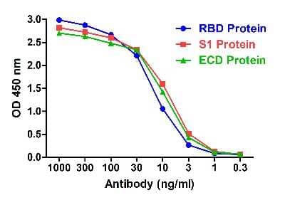 ELISA SARS-CoV-2 Spike RBD Antibody (T4P5-H12) - VHH - Azide and BSA Free