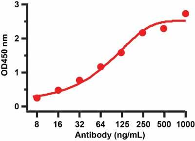 ELISA: SARS-CoV-2 Spike S2 Antibody [NBP3-05701] - Validation with SARS-CoV-2  Spike S2 ECD Recombinant ProteinSARS-CoV-2 Spike S2 antibody, 9123. A direct ELISA was performed using SARS-CoV-2 Spike S2 ECD recombinant protein as coating antigen and the anti-SARS-CoV-2 Spike S2 antibody as the capture antibody. Secondary: Goat anti-rabbit IgG HRP conjugate at 1:20000 dilution. Detection range is from 8 ng/mL to 1000ng/mL.