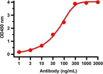 ELISA: SARS-CoV-2 nsp13 Antibody [NBP3-07055] - Antibodies: SARS-CoV-2 (COVID-19) NSP13 (Helicase) Antibody. A direct ELISA was performed using SARS-CoV-2 NSP13 recombinant protein (10-427) as coating antigen and the anti-SARS-CoV-2 (COVID-19) NSP13 (Helicase) antibody as the capture antibody. Secondary: Goat anti-rabbit IgG HRP conjugate at 1:20000 dilution. Detection range is from 1 ng/mL to 3000 ng/mL.