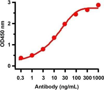 SARS-CoV-2 nsp13 Antibody [NBP3-07055] - Antibodies: SARS-CoV-2 (COVID-19) NSP13 (Helicase) Antibody. A direct ELISA was performed using immunogen peptide (9181P) as coating antigen and the anti-SARS-CoV-2 (COVID-19) NSP13 (Helicase) antibody as the capture antibody. Secondary: Goat anti-rabbit IgG HRP conjugate at 1:20000 dilution. Detection range is from 0.3 ng/mL to 1000 ng/mL.