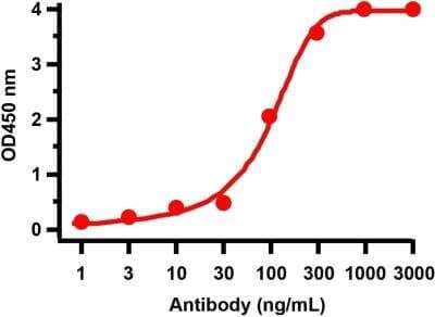 ELISA: SARS-CoV-2 nsp2 Antibody [NBP3-07051] - Antibodies: SARS-CoV-2 (COVID-19) NSP2 Antibody. A direct ELISA was performed using SARS-CoV-2 NSP2 recombinant protein as coating antigen and the anti-SARS-CoV-2 (COVID-19) NSP2 antibody as the capture antibody Secondary: Goat anti-rabbit IgG HRP conjugate at 1:20000 dilution. Detection range is from 1 ng/mL to 3000 ng/mL.