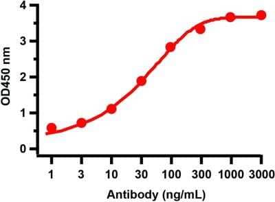 ELISA: SARS-CoV-2 nsp7 Antibody [NBP3-07048] - Antibodies: SARS-CoV-2 (COVID-19) NSP7 Antibody. A direct ELISA was performed using SARS-CoV-2 NSP7 recombinant protein as coating antigen and the anti-SARS-CoV-2 (COVID-19) NSP7 antibody as the capture antibody. Secondary: Goat an-rabbit IgG HRP conjugate at 1:20000 dilution. Detection range is from 1 ng/mL to 1000 ng/mL.