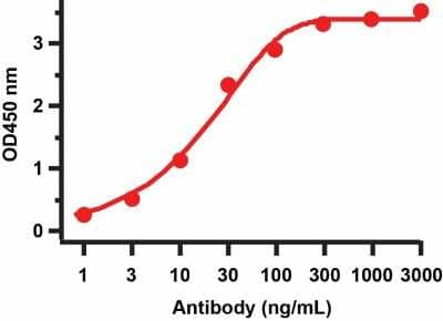 ELISA: SARS-CoV-2 nsp8 Antibody [NBP3-07047] - ELISA Validation with SARS-CoV-2 nsp8 Protein. Antibodies: SARS-CoV-2 nsp8 Antibody (NBP3-07047).  A direct ELISA was performed using SARS-CoV-2 nsp8 recombinant protein as coating antigen and the anti-SARS-CoV-2 nsp8 antibody as the capture antibody.  Secondary: Goat anti-rabbit IgG HRP conjugate at 1:20000 dilution. Detection range is from 0.3 ng/ml to 3000 ng/ml