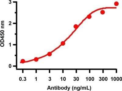ELISA: SARS-CoV-2 nsp9 Antibody [NBP3-07044] - Antbodies: SARS-CoV-2 (COVID-19) NSP9 Antibody. A direct ELISA was performed using immunogen peptide (9161P) as coating antigen and the anti-SARS-CoV-2 (COVID-19) NSP9 antibody as the capture antibody. Secondary: Goat anti-rabbit IgG HRP conjugate at 1:20000 dilution. Detection range is from 0.3 ng/mL to 1000 ng/mL.