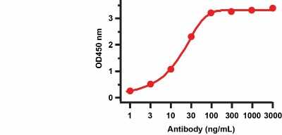 ELISA: SARS-CoV-2 nsp9 Antibody [NBP3-07045] - ELISA Validation with SARS-CoV-2 nsp9 Protein. Antibodies: SARS-CoV-2 nsp9 Antibody.  A direct ELISA was performed using SARS-CoV-2 nsp9 recombinant protein as coating antigen and the anti-SARS-CoV-2 nsp9 antibody as the capture antibody.  Secondary: Goat anti-rabbit IgG HRP conjugate at 1:20000 dilution. Detection range is from 0.3 ng/ml to 3000 ng/ml