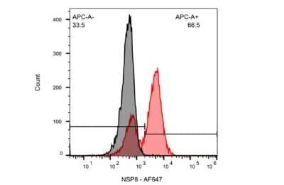 Flow Cytometry: SARS-CoV NSP8 Antibody (5A10) [NBP3-13528] - SARS-CoV / SARS-CoV-2 (COVID-19) NSP8 antibody [5A10] (NBP3-13528) detects SARS-CoV-2 (COVID-19) NSP8 by flow cytometry analysis. Sample: Vero E6 cells infected with SARS-CoV-2. Black: Uninfected Vero E6 cells was used as a control. Red: SARS-CoV / SARS-CoV-2 (COVID-19) NSP8 antibody [5A10] (NBP3-13528) dilution: 1:100.