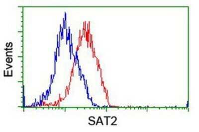 Flow Cytometry: SAT2 Antibody (OTI1C9) - Azide and BSA Free [NBP2-73990] - Analysis of Hela cells, using anti-SAT2 antibody, (Red), compared to a nonspecific negative control antibody (Blue).