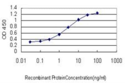 ELISA: SAV1 Antibody (3B2) [H00060485-M02] - Detection limit for recombinant GST tagged SAV1 is approximately 0.1ng/ml as a capture antibody.