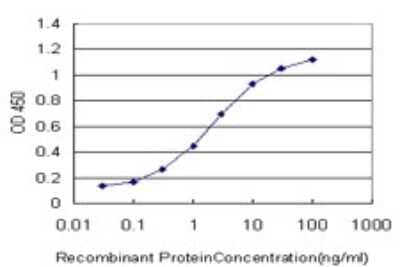 Sandwich ELISA: SCAND1 Antibody (2F11) [H00051282-M01] - Detection limit for recombinant GST tagged SCAND1 is approximately 0.1ng/ml as a capture antibody.