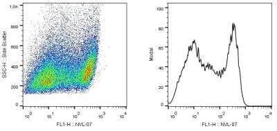 Flow Cytometry: SCIMP Antibody (NVL-07) [NBP2-22349] - Intracellular staining of SCIMP in a population of HEK-293T-SCIMP transfectants using monoclonal antibody (clone NVL-07, purified).The staining pattern reflects heterogeneity in the cell population regarding transfection efficiency.