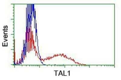 Flow Cytometry: SCL/Tal1 Antibody (OTI5H1) - Azide and BSA Free [NBP2-74022] - HEK293T cells transfected with either overexpression plasmid (Red) or empty vector control plasmid (Blue) were immunostaining by anti-Tal1 antibody, and then analyzed by flow cytometry.