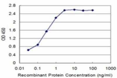 Sandwich ELISA: SCML1 Antibody (4G3) [H00006322-M01] - Detection limit for recombinant GST tagged SCML1 is approximately 0.03ng/ml as a capture antibody.