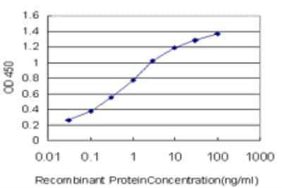 ELISA: SCN11A Antibody (6E1) [H00011280-M04] - Detection limit for recombinant GST tagged SCN11A is approximately 0.03ng/ml as a capture antibody.